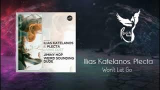 Premiere: Ilias Katelanos, Plecta - Won't Let Go [Movement Recordings]