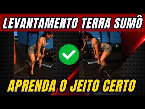 terra sumô step｜Pesquisa do TikTok