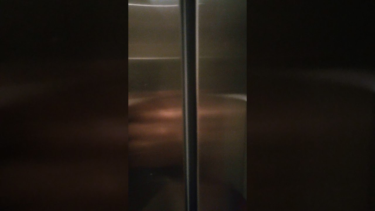 Why Does My Cat Make A Weird Humming Noise Why Does My Cat Make A Weird Humming Noise