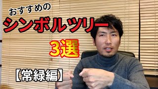 管理が楽でおしゃれな【シンボルツリー】おすすめの3選とは【常緑編】/成長の遅い植木もご紹介。外構工事の情報