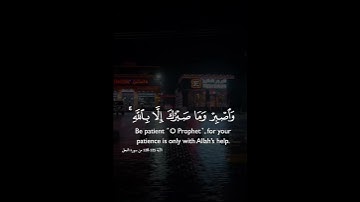 Сура Ан-Нахль 125-128 Аяты #коран #quran سوره النحل 125-128#قران_كريم #قران #قرآن_كريم_راحة_نفسي
