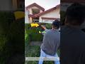 Perfect Hedge Trimming Satisfying Process! Super Clean Garden Cut ✂️🌿