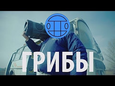 luft Slumber Når som helst Грибы - Тает Лёд | Gribi taet led - YouTube