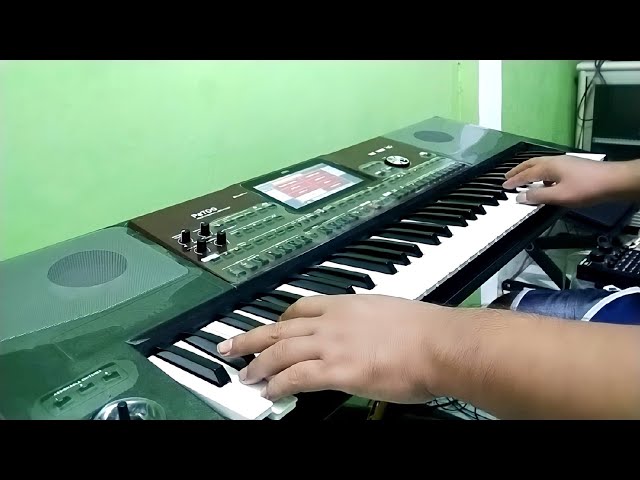 Pelaminan kelabu cover KORG pa700 class=