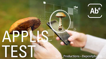 Comment identifier un champignon à partir d'une photo ?