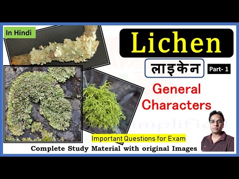 लाइकेन की सामान्य विशेषताएँ । Lichen general characters | Crustose | Foliose | Fruticose | Part 1