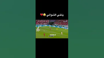 عصام الشوالي 