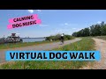 DOG WALKING VIDEO | With Calming Dog Music
