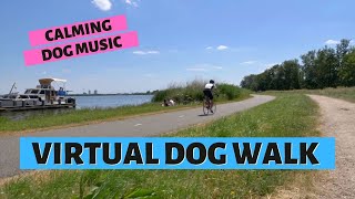 DOG WALKING VIDEO | With Calming Dog Music