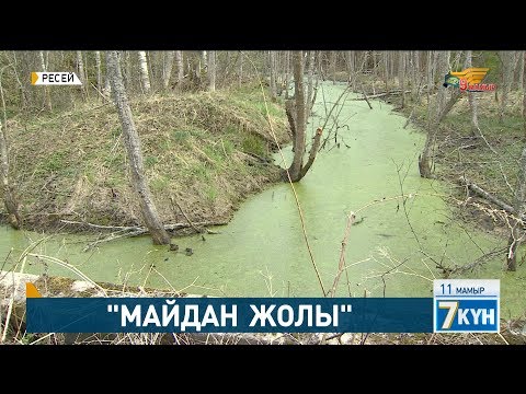 Бейне: Мәскеу облысында еңбек ардагерін қалай алуға болады