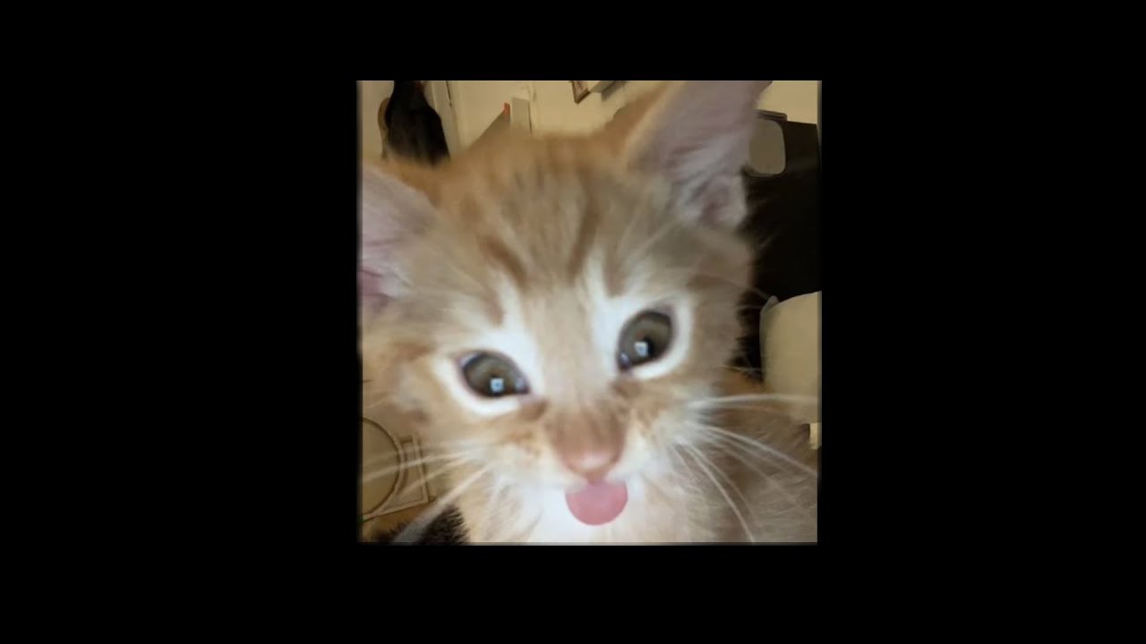 So-so / VineWood / GTA5RP