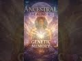 Ancestral Healing Frequencies  396Hz • Alpha 12 Hz • 741Hz