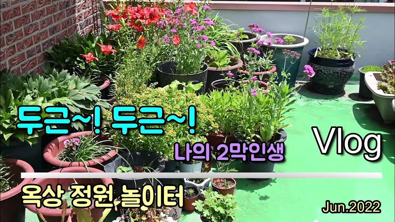 옥상정원화초 돌보기