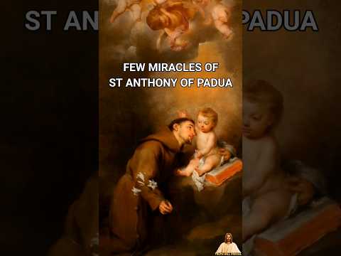 Few Miracles of St Anthony of Padua #shorts #christianity #catholic