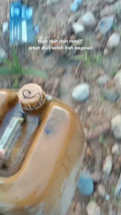 story wa ll story dayak ngaju viral 30 detik