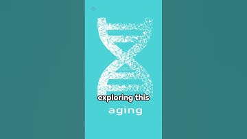 Telomeres | The Key to Aging