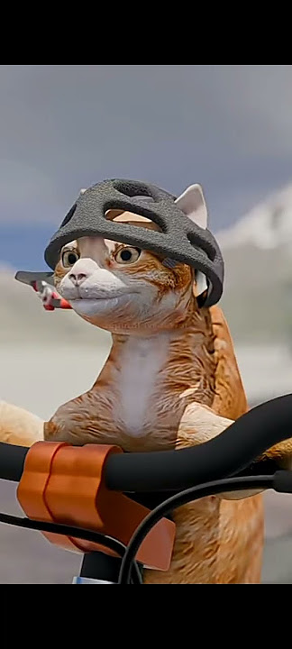 apa lu liat liat #cute #cat #funnycats #meme #seputarnguawur
