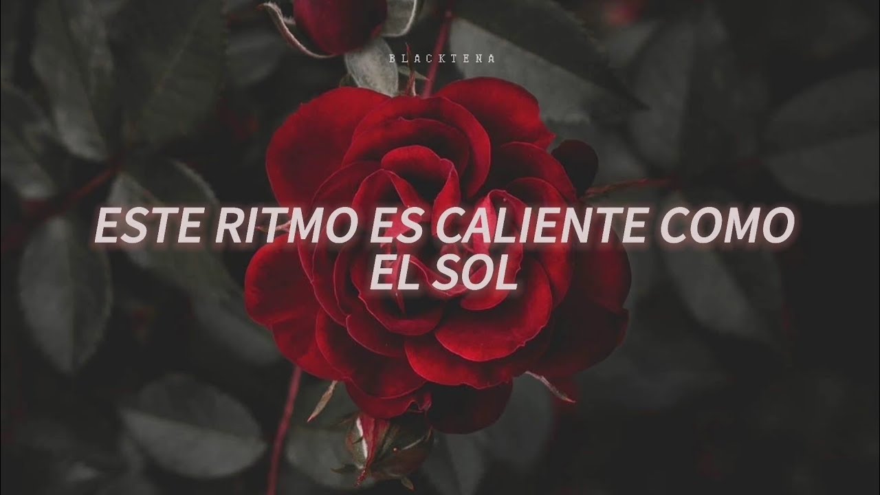 Sofia Wylie - A Dancer's Heart // Español