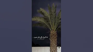 فدا الكرز واللؤلؤ المكنون ذوق تفاعلوا شيلات شيلة نادر الشراري غريب ال مخلص عبدالله ال مخلص 
