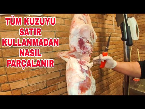 Video: Dünyanın en büyük inekleri: cinsler, açıklama, fotoğraf