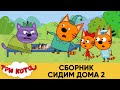 Три Кота | Сборник серий Сидим Дома | Мультфильмы для детей💧👋😷