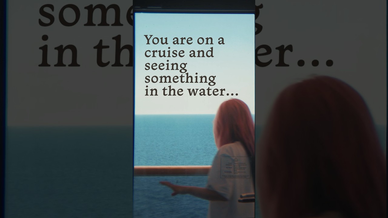 You are on a cruise and seeing something in the water… 🐬 #mediterraneancruise #cruiselife #cunard