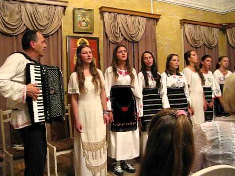Метохијски Жубори - Тамо далеко