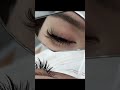 LC Curl Fluffy Camellia Lash Extensions | Ultimate Fluffy Lash Tutorial