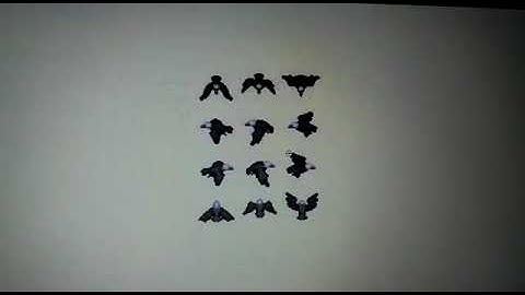 OOP Project Progress Video   1