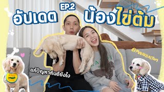 อัปเดตชีวิตไข่ต้ม ตอบคอมเม้นท์จากคลิปที่แล้ว | ZuvapitSnap