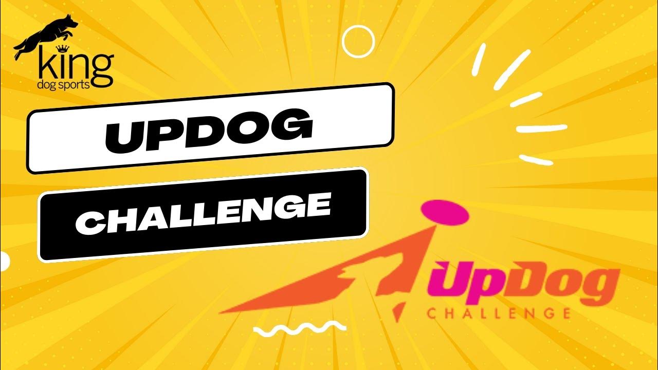 updog-challenge-with-stephanie-stanton-linder-youtube