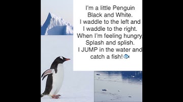 I’m a Little Penguin