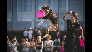 Amelia & Nuvi - Latające Psy Warszawa 2018 by Amelia Makówka 620 views 5 years ago 2 minutes, 6 seconds