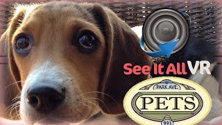 Park Ave Pets Rochester NY - 360 Virtual Realty Tour