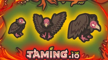Taming.io - New VULTURE Update | New Pet and Hat in tamingio