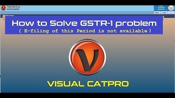 How to solve gstr-1 problem in Visual Catpro (E-filing of GSTR-1is  not available for this period )