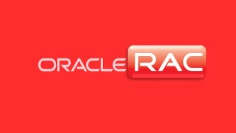 Oracle 19c RAC | Database Software Configuration and Installation| RDBMS and ASM configuration Setup