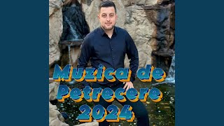 Muzica de Petrecere 2024