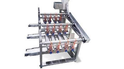 Shrimp Sizing Machine