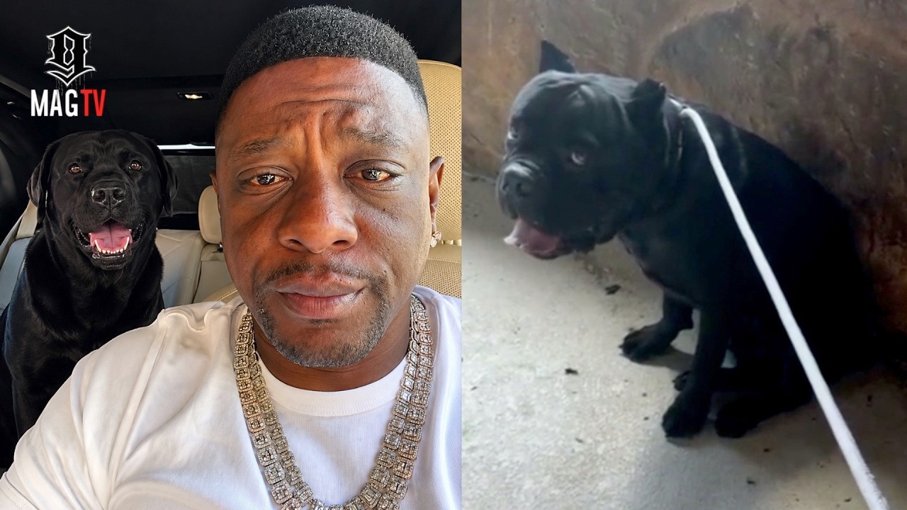 Boosie Has a Hilarious Moment After Forgetting His Dog Din Da Da Was Still in the Car During His Probation Visit 😂🔥
