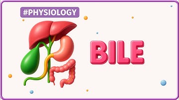 2. Physiology of Bile – Synthesis, Composition & Secretion | USMLE Step 1 | High-Yield GI Physiology