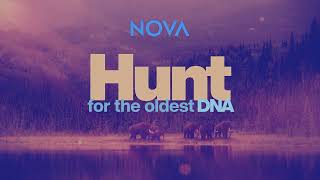 NOVA: Hunt for the Oldest DNA PREVIEW