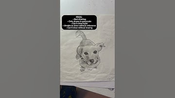 Pros and cons against competing against me in drawing. #art #drawing #artwork #youngartist