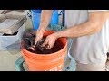 Compost Extract - How To Make The Most Of Your Black Gold