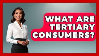 What Are Tertiary Consumers? - The Marine Life Explorer