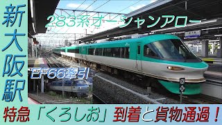 新大阪駅 283系特急「くろしお」到着とEF66牽引貨物通過！