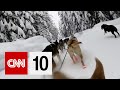 Dog Sledding Experience Insights