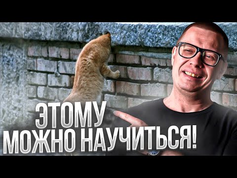 Видео: Можно ли научиться любопытству?