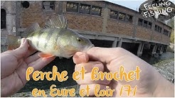 Peche de la perche et du brochet en Eure et loir partie 7