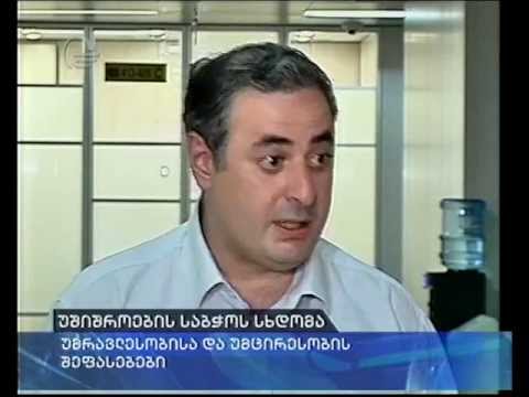 უმრავლესობა და უმცირესობა უშიშროების საბჭოს მუშაობას აფასებს